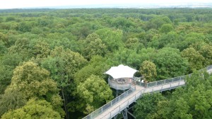 Campingbus Urlaub: Nationalpark Hainich Baumkronenpfad