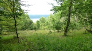 Campingbus Urlaub: Nationalpark Kellerwald-Edersee - Seeblick