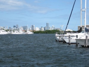 IMG_0061