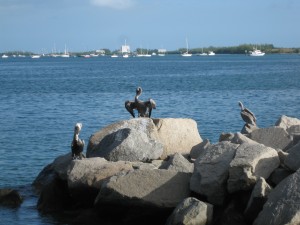 IMG_0187