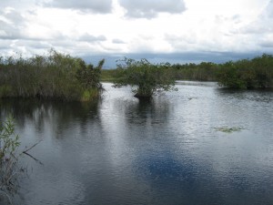 IMG_0226