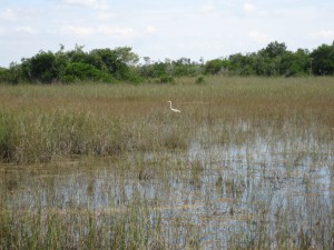 IMG_0259