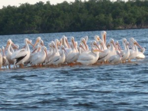 IMG_0288