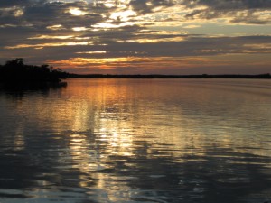 IMG_0342