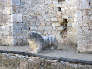 IMG_0387