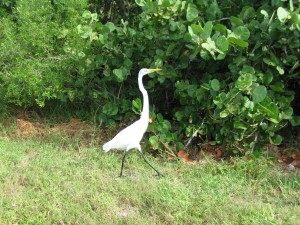 IMG_0483