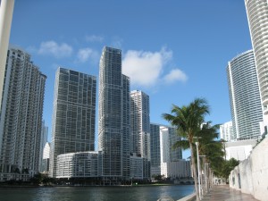 IMG_0503