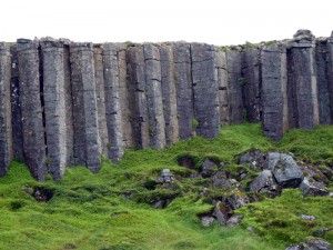 P1000737_6_1