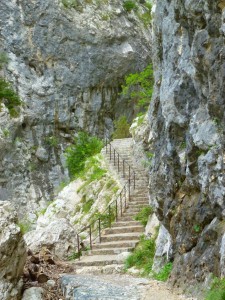 Wandern in der Verdonschlucht