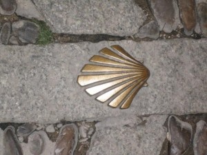 Nordspanien Jakobsmuschel